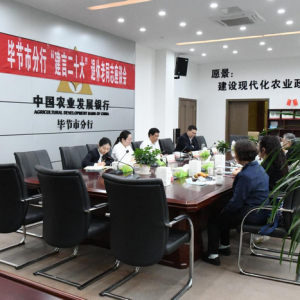 农发行毕节市分行举办“建言二十大”退休职工座谈会