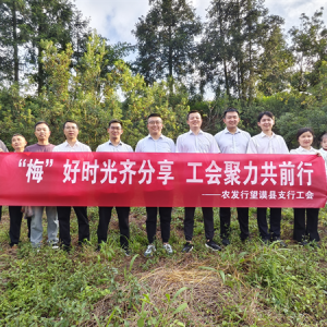 农发行望谟县支行开展“‘梅’好时光齐分享 工会聚力共前行”活动